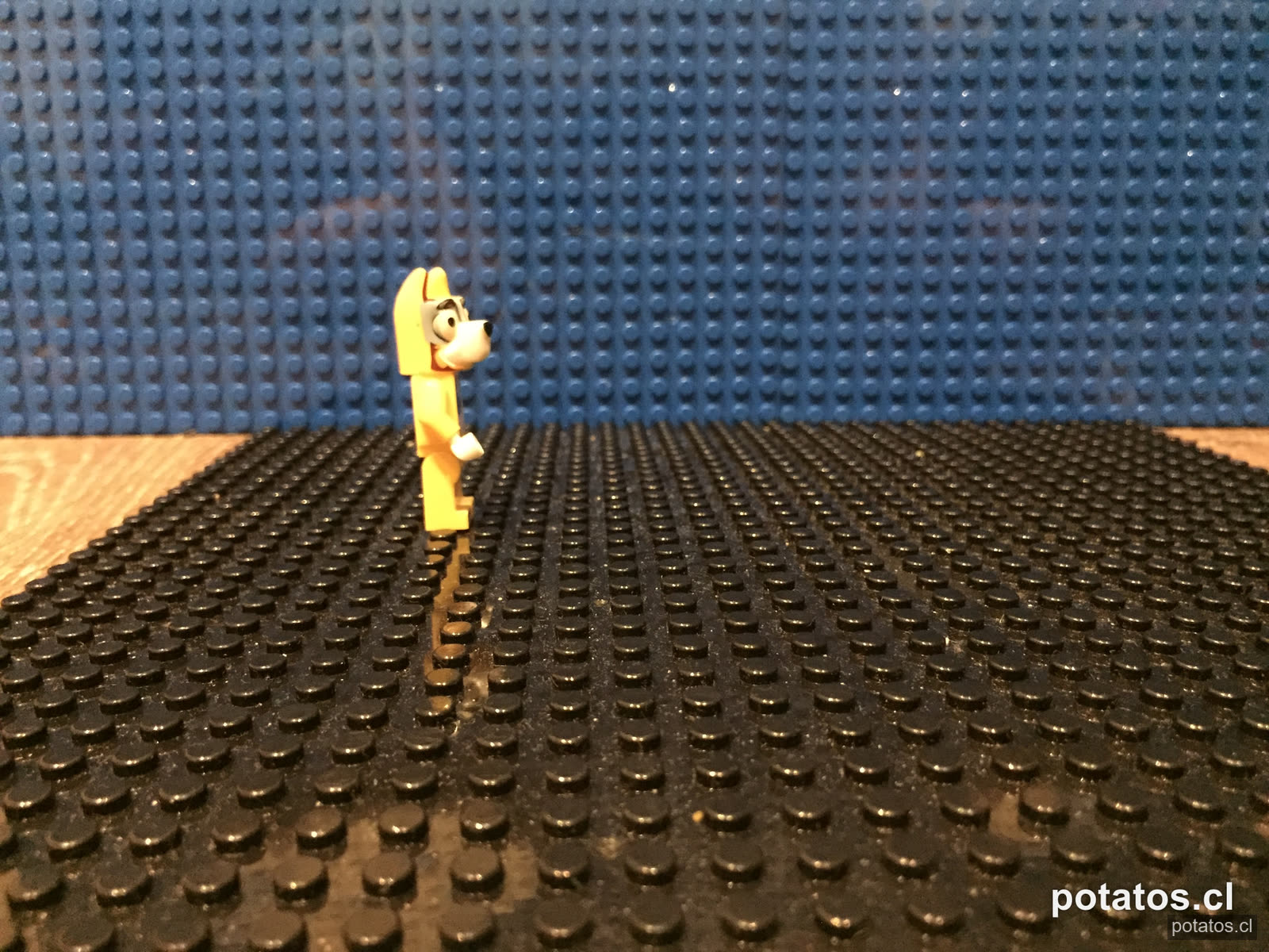 Flujo: fotograma 2 de 110