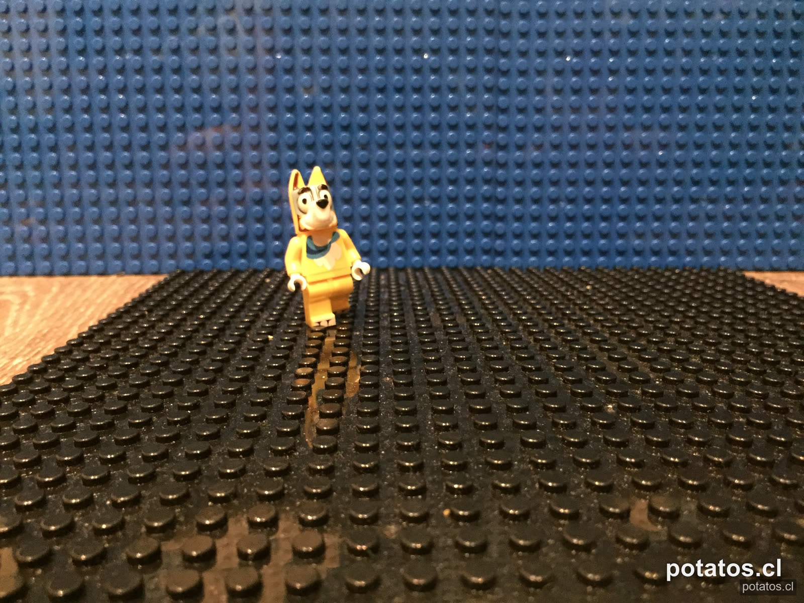 Flujo: fotograma 7 de 110